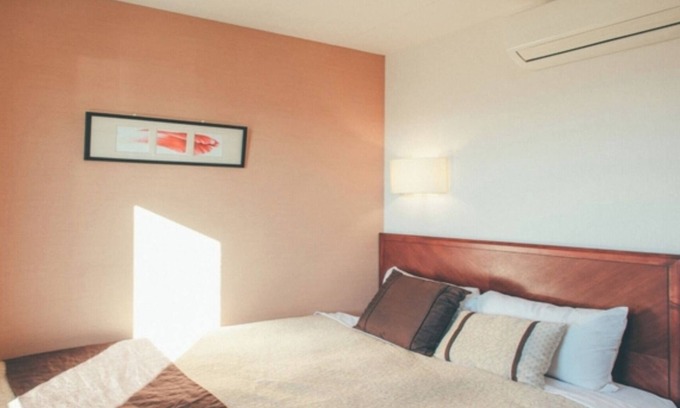 Kikugawa Hotel | SmokingSingleSDGsBreakfast includedMultiple n / Kikugawa Shizuoka