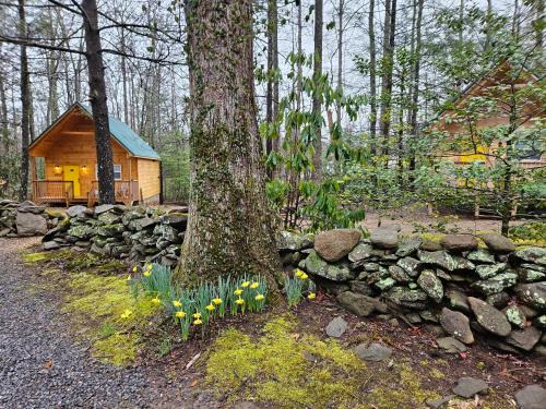 Cosby Casa | Smoky Mountain Retreat - 2 Cabins