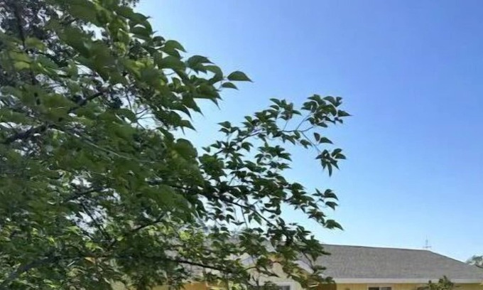 Mariposa Condominio | SnowCreek Getaway