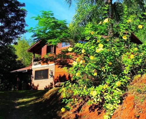 Campo Bom Apartamento | Sobrado flor da laranjeira