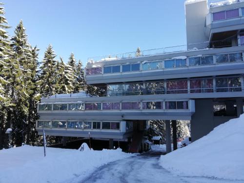 Marilleva Apartamento | Sole Alto Appartamenti Montana