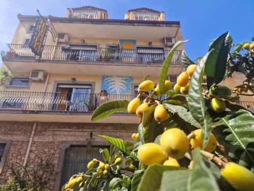 Villagonia Cama Y Desayuno | Sole Mare Giardini Naxos