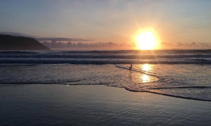 Rio das Pacas Apartamento | PLAYA SOLIDÃO - FLORIANÓPOLIS - Alquiler