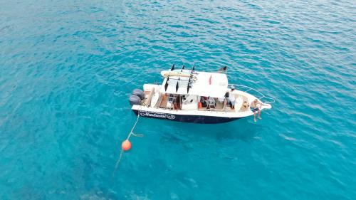 Sipura Island Complejo | Solid Surf Villa Mentawai