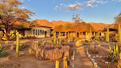 Solitaire Cabina | Solitaire Mountain Lodge