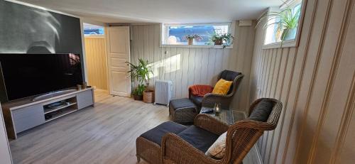 Melsomvik Apartamento | Solnes Apartment