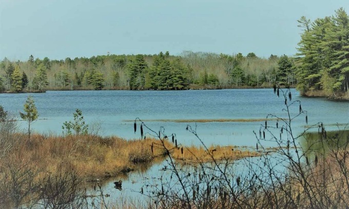 Mount Desert Casa | Somes Pond Island Cottage