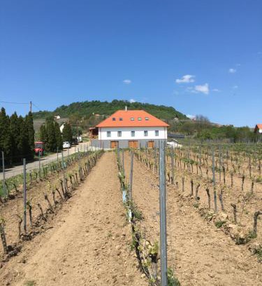 Somlovasarhely Casa | Somló Kolonics Kúria