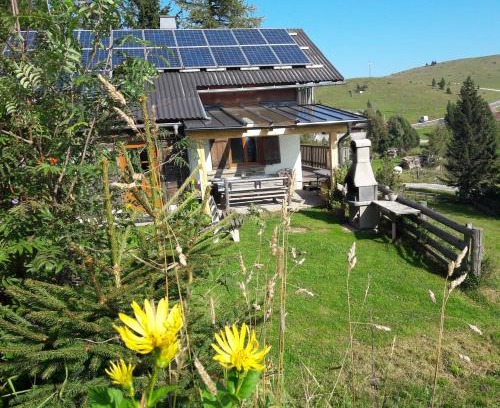 Sankt Kathrein am Offenegg Casa | Sommeralmhütte