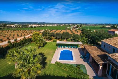 Campos Casa | Son Vanrell