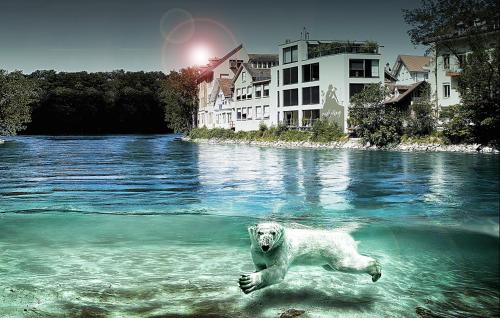 Old City of Bern Apartamento | SONNEN Loft Bern - Bed & Breakfast