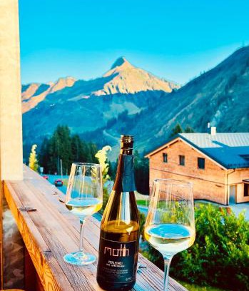 Damuels Apartamento | Sonniges Bergblick-Appartement