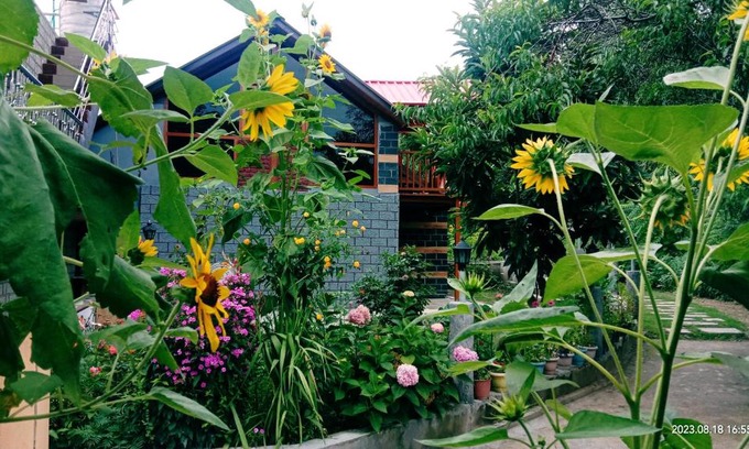 Naggar Casa | Soondhucottage&Homestay