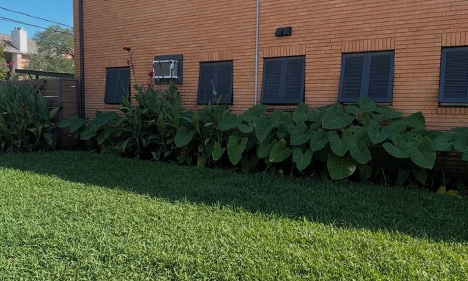 Greenway Plaza-Upper Kirby Apartamento | Soothing apartment with AC in vibrant Houston