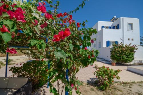Agia Anna Apartamento | Sophi's L Studios & Apartments