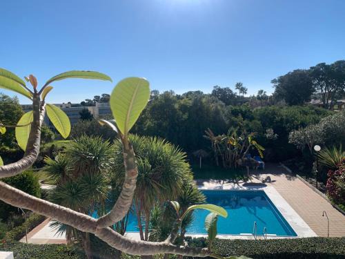 Sotogrande Apartamento | Sotogrande Duplex near Polo, best pool view, 2 pools, full south, 7 drive to beaches and Port