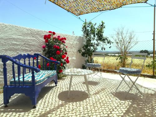 Marathon Casa | Source of unique experiences!