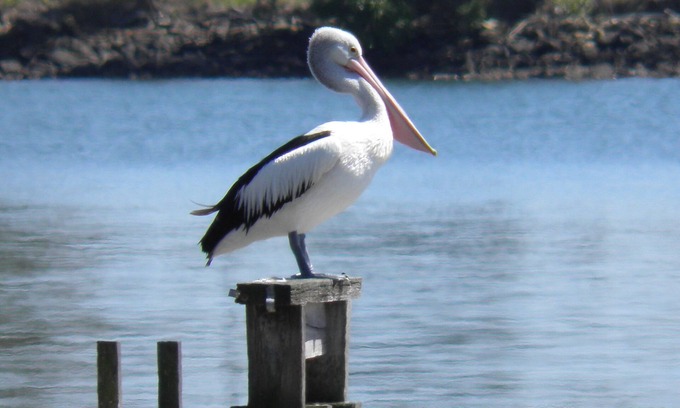 Keith Hall Casa | South Ballina Riverside Retreat
