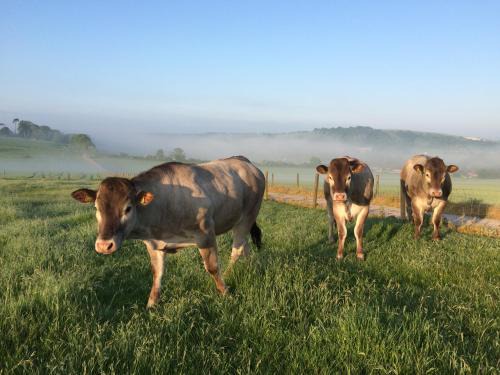 Findon Casa | South Downs Rural Retreats