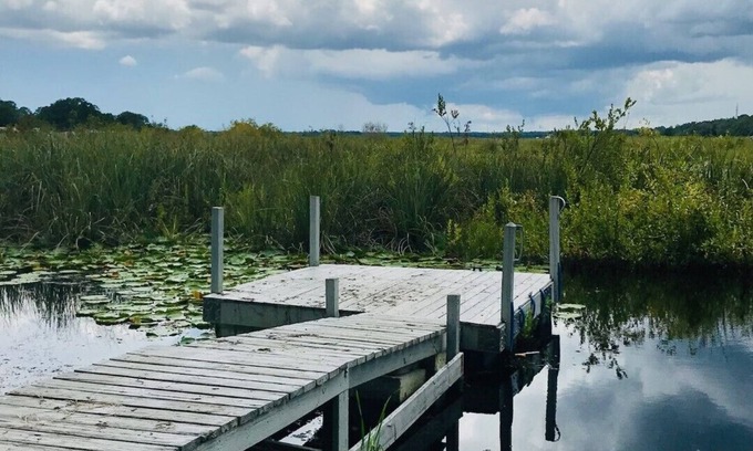 Salt Springs Casa | Southern Country Comfort