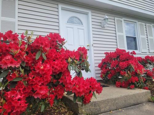 Eastward Look Casa | Spacious 5BR Beach House Vacation-walk to Scarborough!