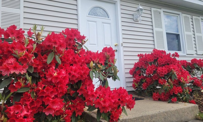 Eastward Look Casa | Spacious 5BR Beach House Vacation-walk to Scarborough!