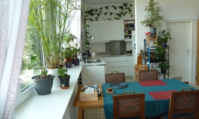 Profondeville Apartamento | Spacious, bright and comfortable apartment - located in the forest in the valley