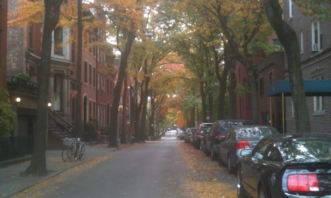 Brooklyn Heights Apartamento | Encanto Brooklyn Heights 1 dormitorio