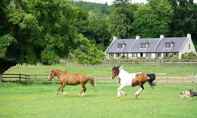 Ashford Otro | Lujosa casa de 5 habitaciones dobles con baño en el campo de Wicklow