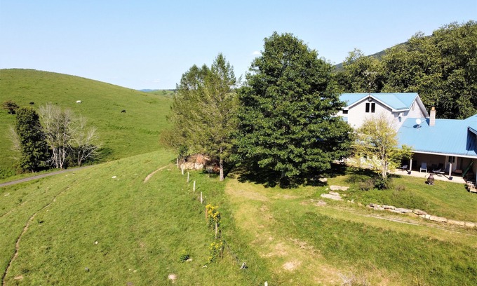 Simmonsville Casa | Spacious Farm with Mountain Views 30min to Bburg