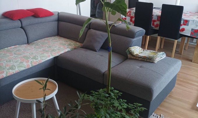 Clos des Roses Apartamento | Spacious, fully-equipped apartment 5 minutes from the center and château of Compiègne