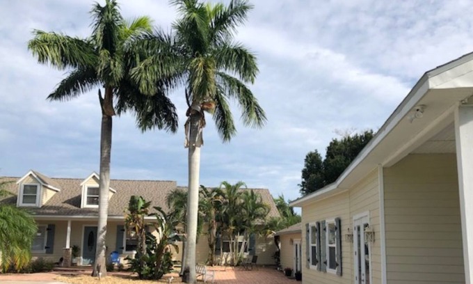 Westchase Casa | Spacious guest house on private lake!