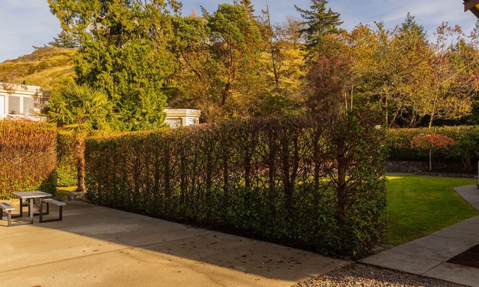 Saanich East Casa | Spacious Home-Like Suite (Upper)