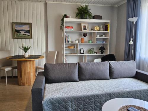 Parnu Apartamento | Spacious home with balcony!