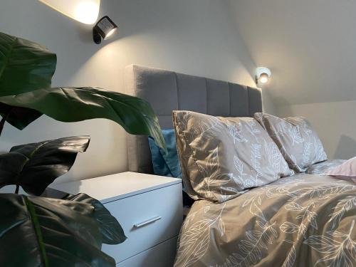 Tamworth Casa | Spacious Private Room - Small Animals Welcomed