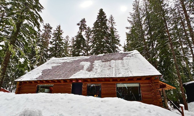 Government Camp Casa | Spacious Steiner Cabin on quiet street and stream.