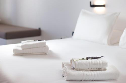 Gavrio Apartamento | Spanos Apartments - Andros