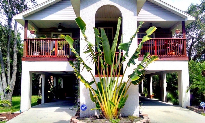 Town 'n' Country Casa | TreeHouse en Tampa