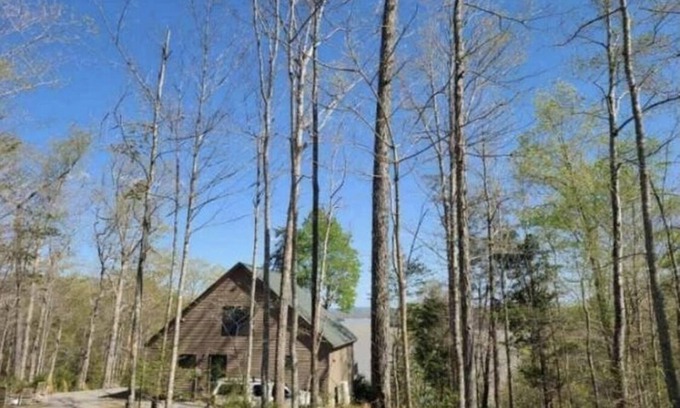 Nancy Casa | Spectacular cabin on Lake Cumberland