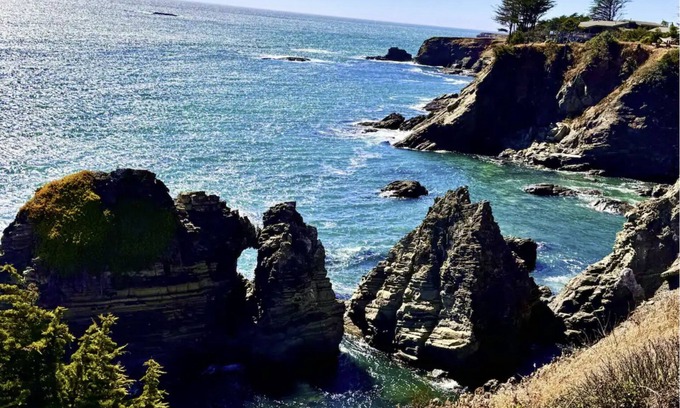 Gualala Casa | Spectacular Oceanfront, massive fenced yard, with Spa Mendocino Coast in Gualala