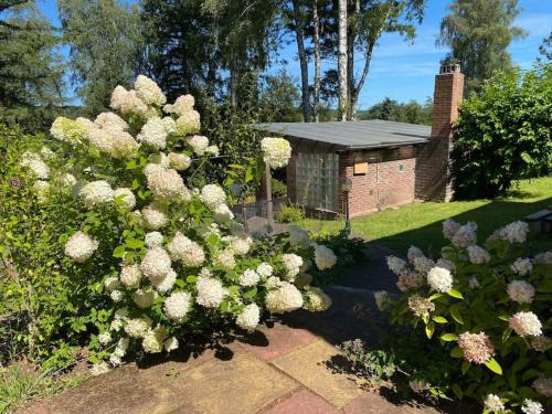 Rothenbuch Casa | Spessart Hygge