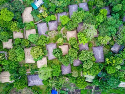 Kumily Complejo | Spice Village Thekkady - A CGH Earth Experience