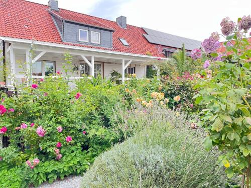 Nordharz Apartamento | Spindler Hof Harz