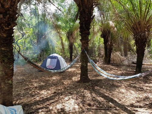 Nhecolandia Otro | Spot Jaguar Pantanal South Camping Wild Jaguar Tour
