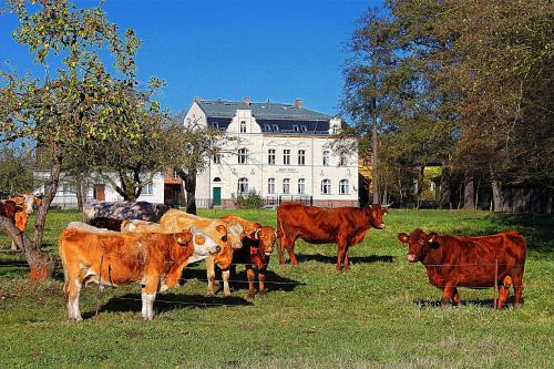 Lubbenau/Spreewald Apartamento | Spree Chalet - adults only