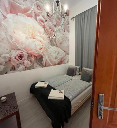 Inner City Budapest Apartamento | Spring Roses Downtown Boutique Hotel ON THE FAMOUS VÁCI FASHION STREET FREE COFFEE, TEE