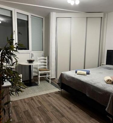 Dorcol Apartamento | Squeeze The Day