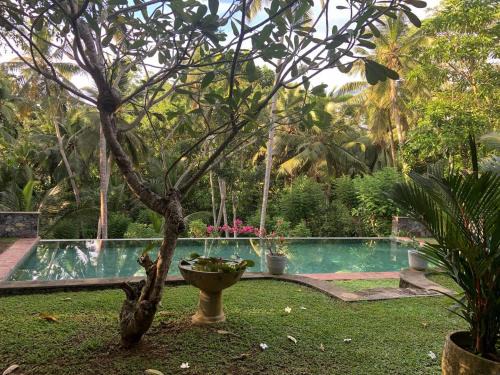 Bandaranayake Cama Y Desayuno | Sri Mathie Historic Estate