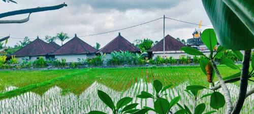 Pejeng Kawan Casa | Srijaya Ubud by SHM