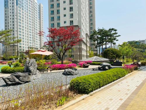 Goyang Apartamento | st ar house